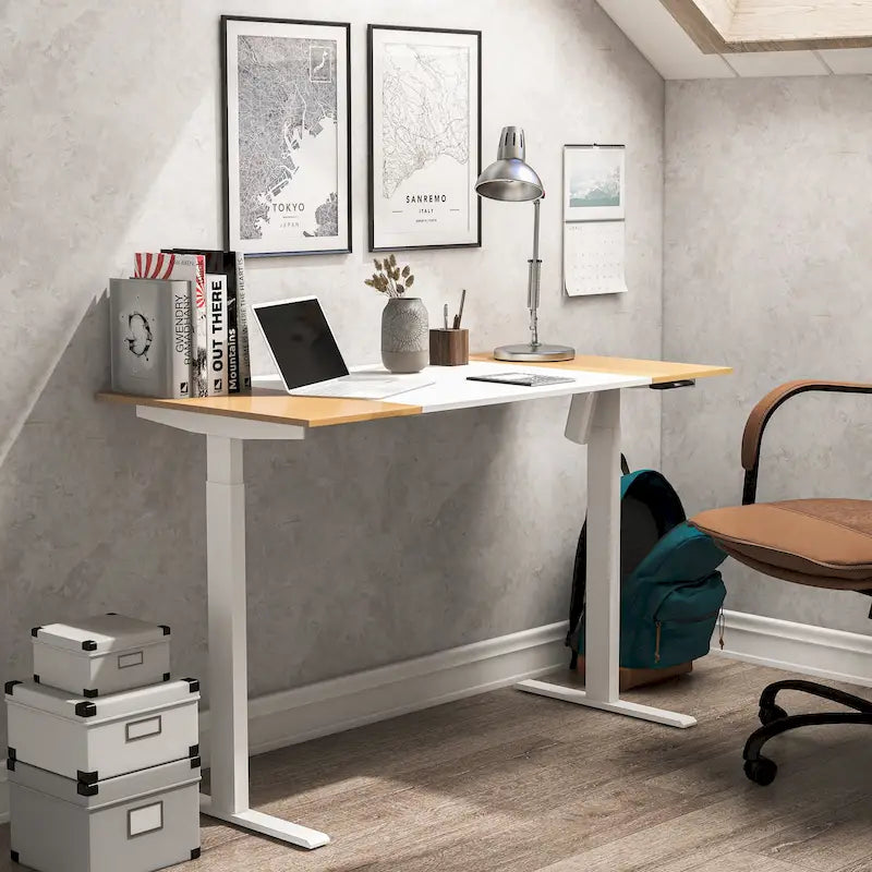 47-inch Steel Adjustable Standing Desk by